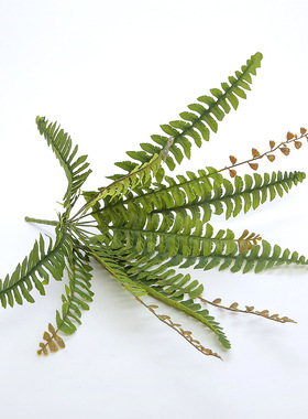 仿真绿植墙婚庆蕨类孔雀装饰花艺