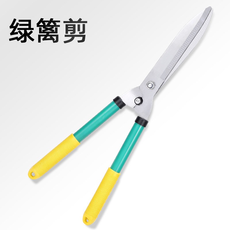 草坪园艺草耙剪LVHENG图片