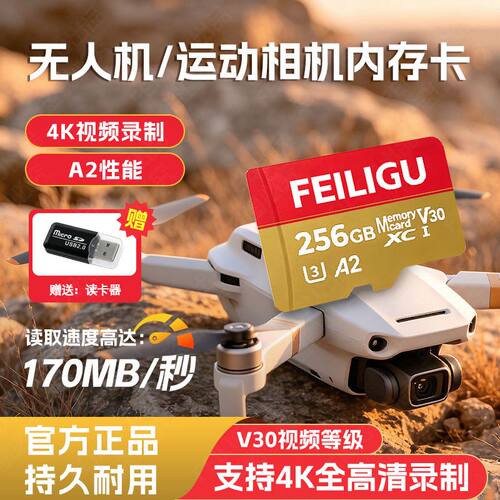 闪迪TF卡高速4K存储卡适用大疆无人机 影石运动相机sd 512g 256g