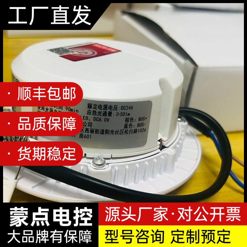 出博朗耐应急照明灯，集中电源集中控制型，型号BR-ZFJC-询价