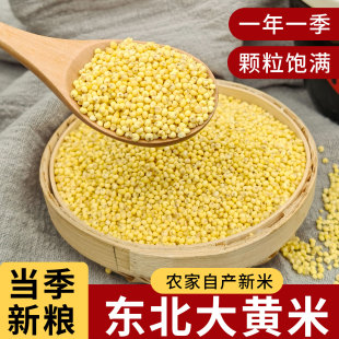 东北大黄米25年农家新米正宗糯小米黍米粘米饭黄米包粽子软米杂粮