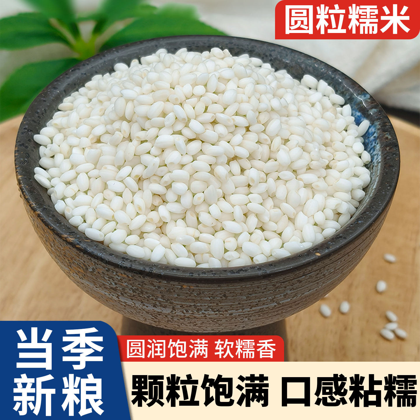 东北圆粒糯米2024年农家新米5斤珍珠白江米江糯米包粽子五谷杂粮