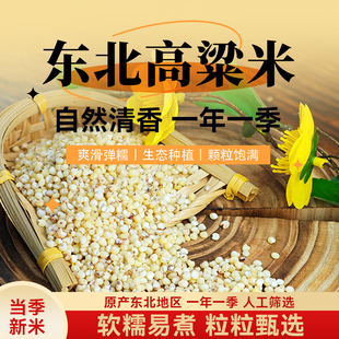 东北白高粱米新米农家粗粮饭五谷杂粮高粱米高粱米水饭煮粥蒸饭