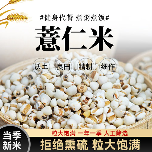 薏仁米新货贵州农家大薏米仁新米五谷杂粮新鲜薏苡仁赤小豆煲汤粥