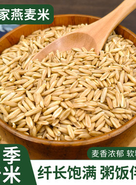 东北燕麦米全胚芽25年农家新米需煮粗粮早餐粥杂粮农家自种燕麦仁