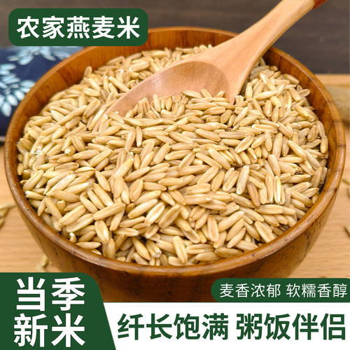 东北燕麦米全胚芽25年农家新米需煮粗粮早餐粥杂粮农家自种燕麦仁