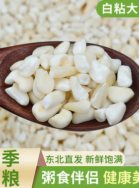 甜糯白玉米碴子大渣子新货包谷糁农家自种五谷杂粮白色糯玉米大粒