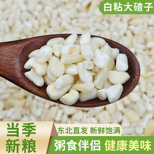 甜糯白玉米碴子大渣子新货包谷糁农家自种五谷杂粮白色糯玉米大粒