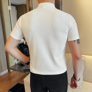 PL3612-P48 男士短袖T恤夏季新款时尚百搭休闲翻领短袖POLO衫图片