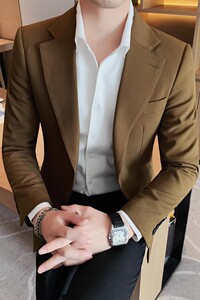 老款继续做XZ085-P208 两粒单排扣西装外套男士纯色商务休闲西服图片