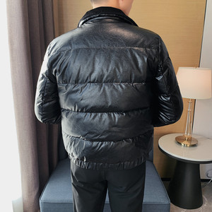 YR08-P315 羽绒服男士拉链款立领外套加厚  白鸭绒图片