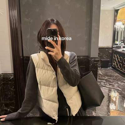 色立领拉链90鸭绒羽绒服背心马甲