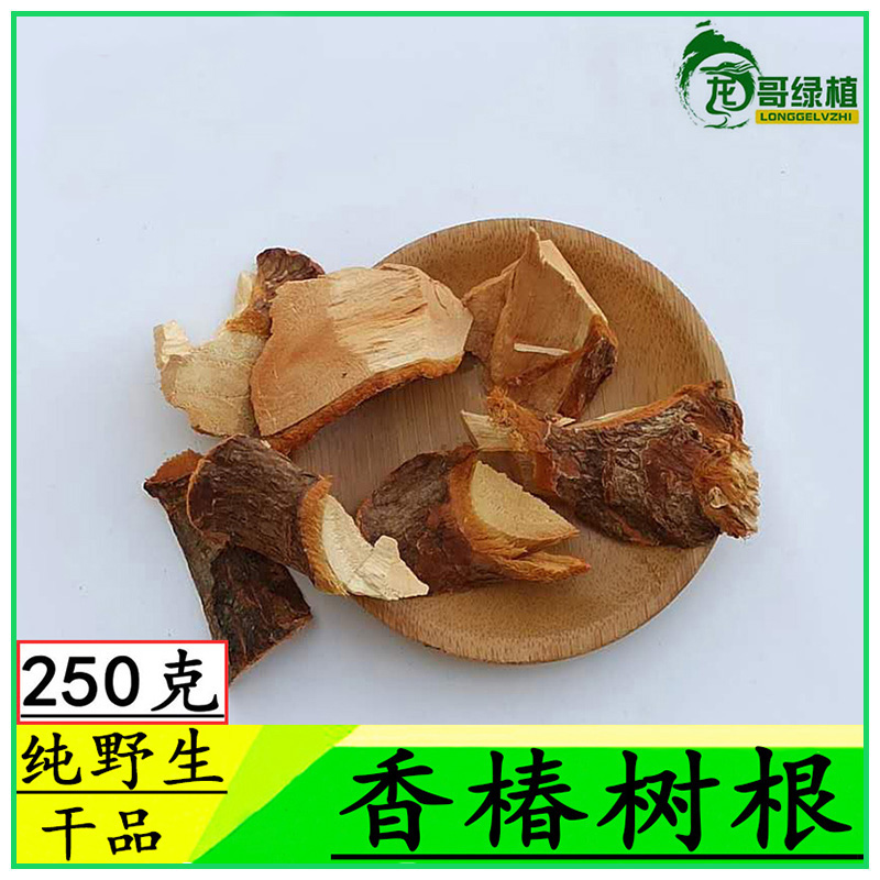 香椿树根 香椿根中药材