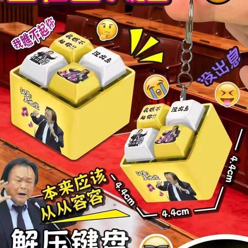 没出息语音按键王世坚从从容容发声发光钮键盘挂件钥匙扣解压玩具
