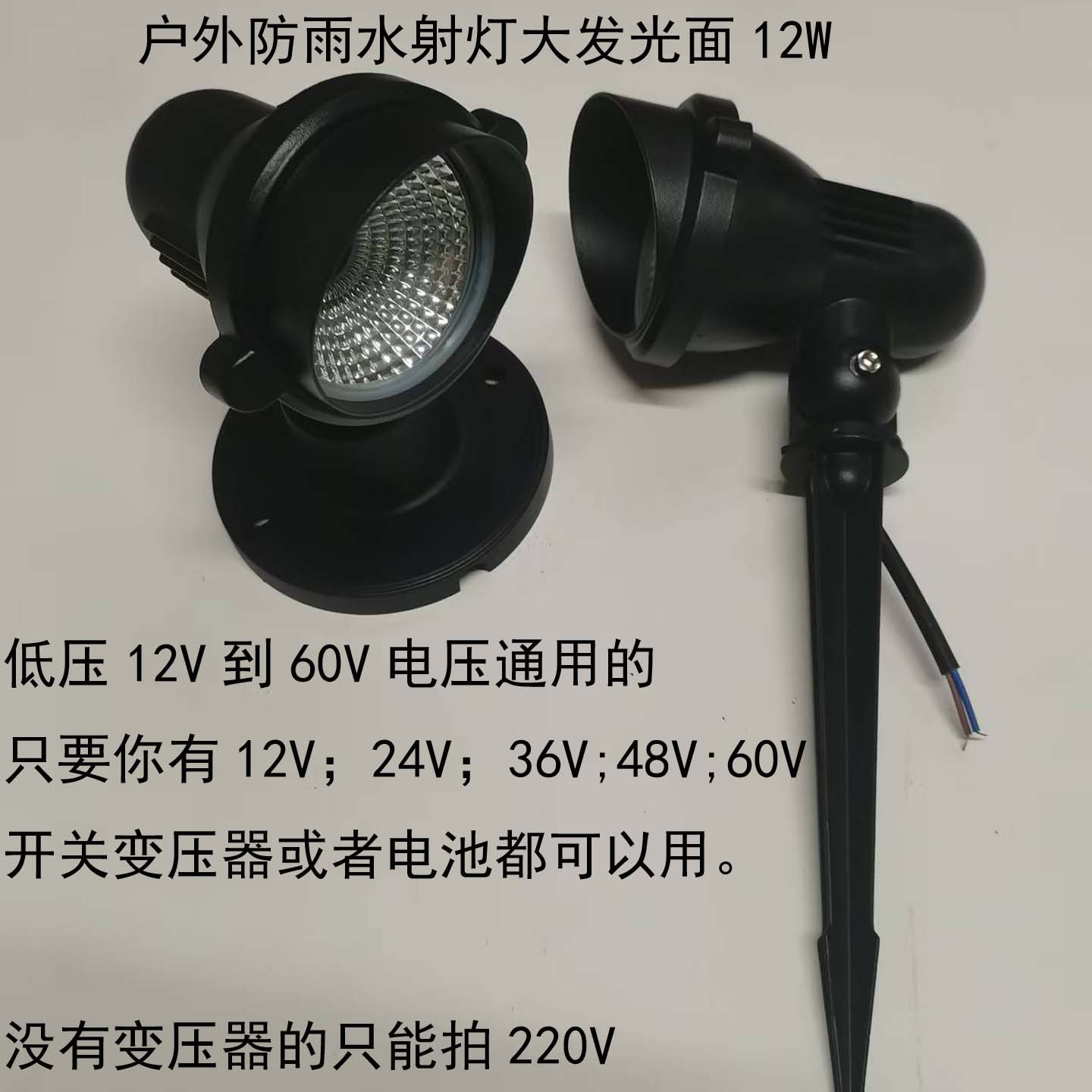 12V-60V户外防水庭院照射树灯