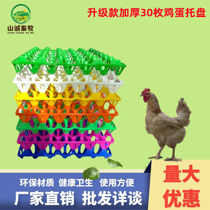 厂家直销塑料30枚塑料环保蛋托防潮新型普通鸡蛋托土鸡蛋托鸭蛋托