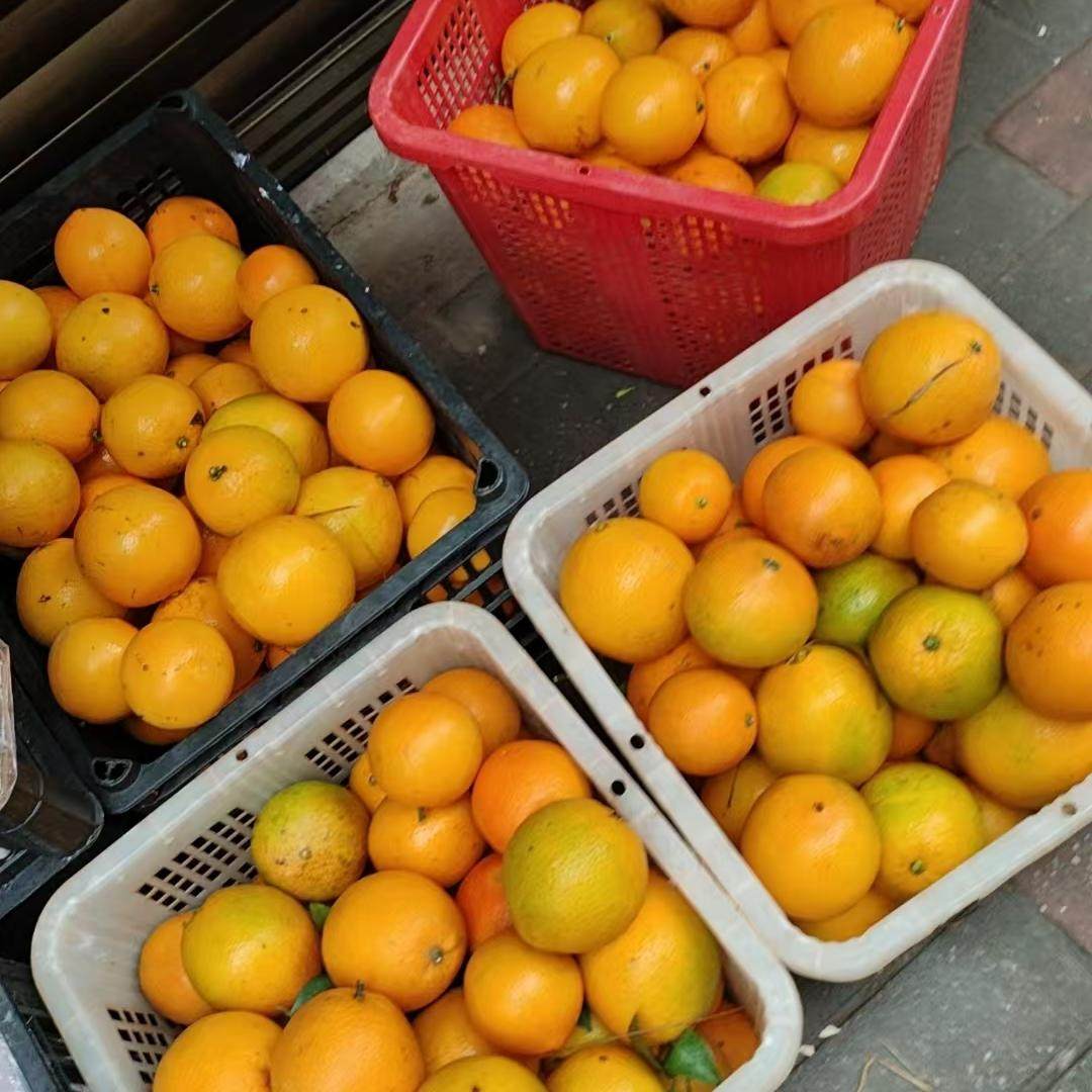 正宗江西脐橙新鲜农家自种橙子当季水果现摘直发 自家种小产量,水产肉类/新鲜蔬果/熟食,橙,淘宝优惠券,粉丝福利购,淘宝优惠卷