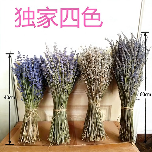 新薰衣草干花束礼物新疆伊犁舒缓