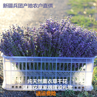 饰礼物兵团直 薰衣草干花束新花薰衣草干花1斤永生花家居装