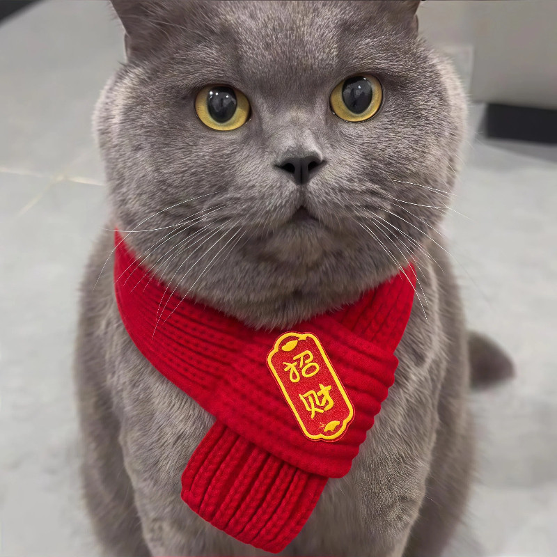 猫咪围脖小狗可爱项圈毛线宠物围巾围兜狗狗保暖配饰红色喜庆新年,宠物/宠物食品及用品,狗宠物服装/雨衣,淘宝优惠券,粉丝福利购,淘宝优惠卷