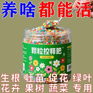 绿植花卉通用控释肥多肉颗粒缓释肥养花专用营养肥料氮磷钾复合肥