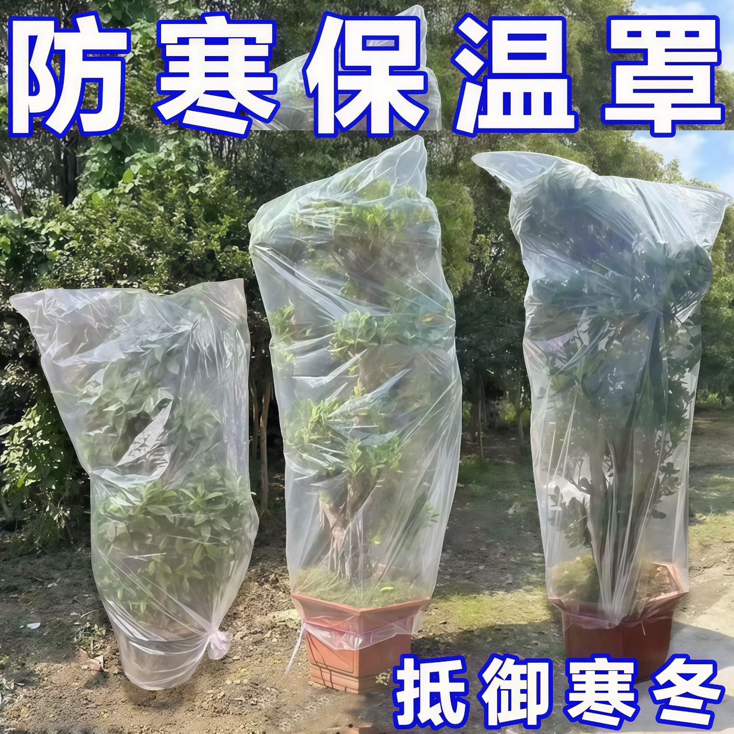 绿植物防冻保温袋塑料膜花卉盆栽过冬保护罩树木防寒布防尘袋透明