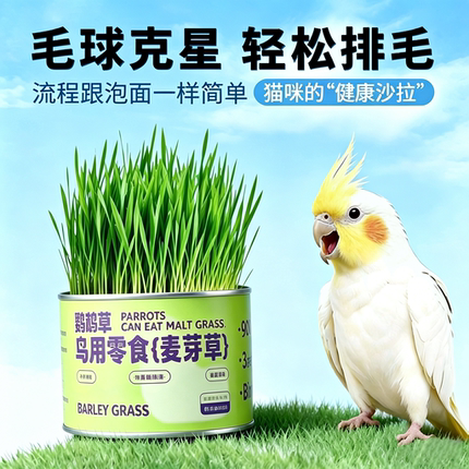鹦鹉麦芽草鸟粮零食用草自嗨解闷神器虎皮玄凤小太阳牡丹啃咬玩具