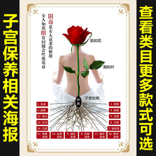暖宫养巢卵巢养护装 饰画身体保养海报挂女性子宫护理壁画911