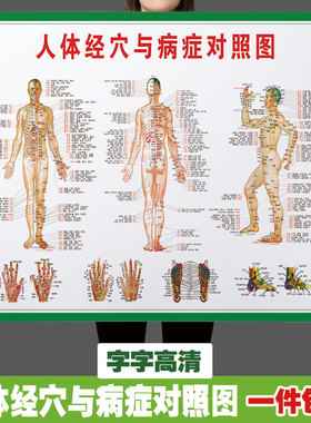 中医养生人体经络穴位图大挂图全身高清穴位艾灸推拿背部针灸2132