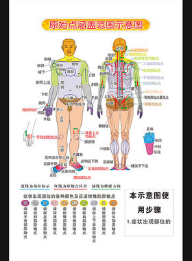 推拿按摩原始点壁画原始点涵盖范围示意图理疗养生海报挂图730