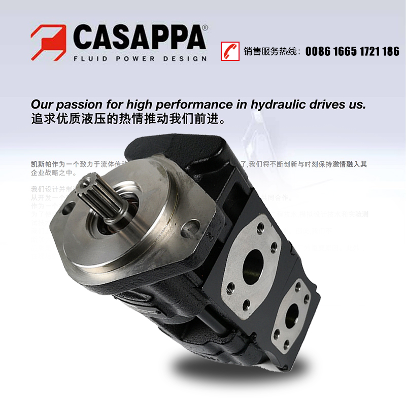 CASAPPA泵车齿轮泵凯斯帕