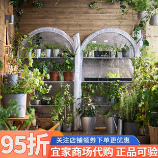IKEA宜家奥斯帕伦塑料制温室罩透明白色95x32x162厘米家用暖房