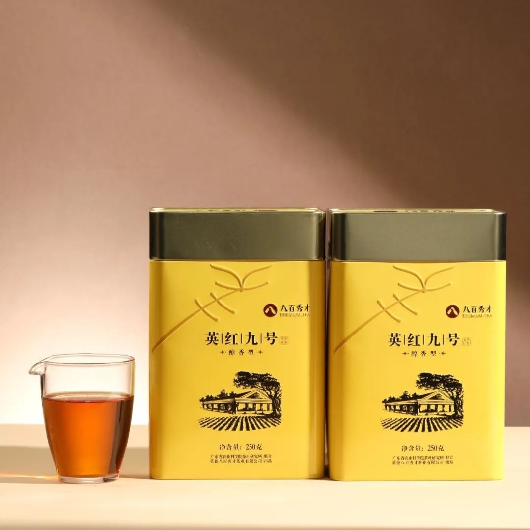 2025年新茶八百秀才英德红茶英红九号红茶醇香型250克/罐健利茶业