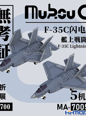 恒辉 无考证 MA-70053 1/700 F-35C 闪电Ⅱ舰载机 3D打印树脂模型