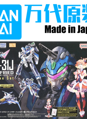 万代 69159 豪华套装HG 1/100 VF-31J SIEGFRIED（疾风机）