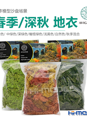 恒辉 AVIGATOR 手工制作模型沙盘场景用 地衣 春季/深秋 390cm³