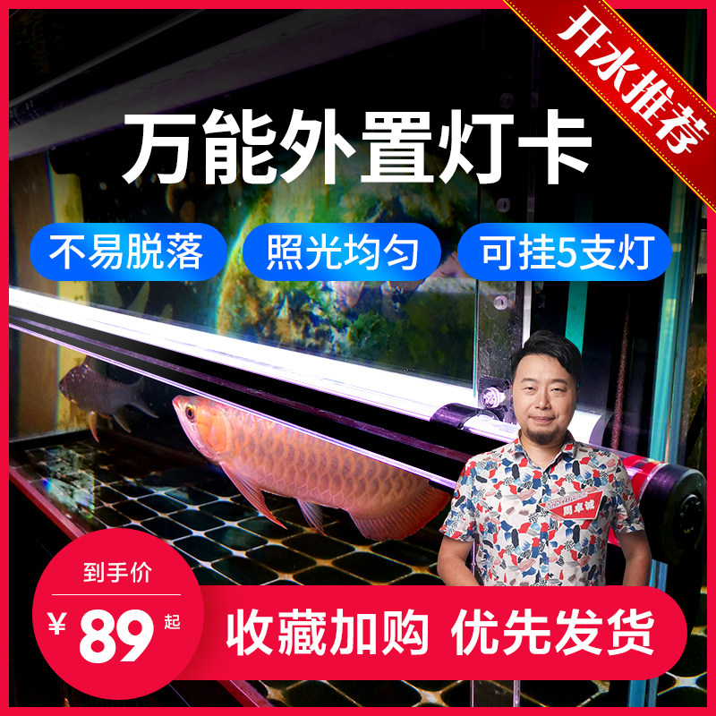 开水族馆的生物男外置灯卡水中龙照明器材