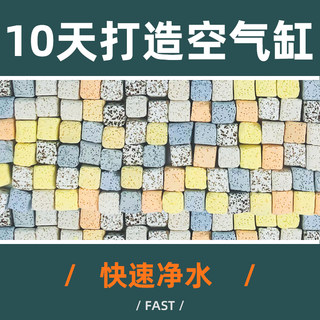 生物男开的水族馆鱼缸过滤材料细菌屋滤材远红外细菌活性炭陶瓷环