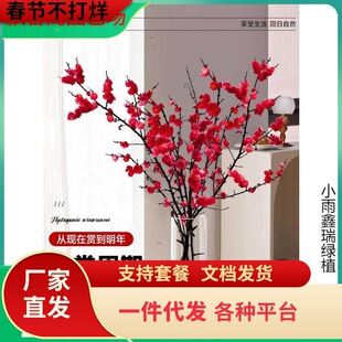 带花水培红梅花桃花树干枝珍珠李鲜花室内花卉雪柳盆栽切