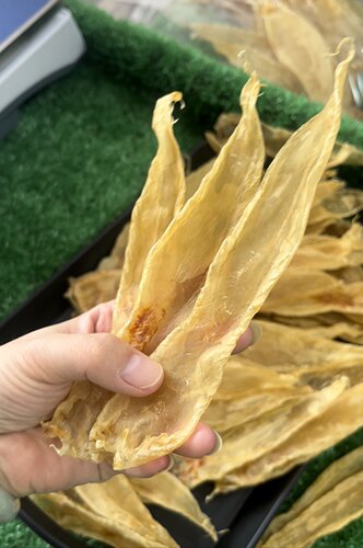 本港白花胶，本白，溪沃红沃胶，营养高价值