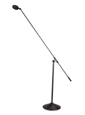 纳斯乐 专业会议演出立式演讲咪 单位：支