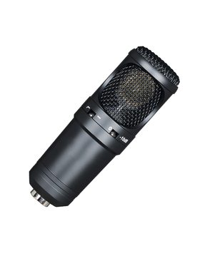 纳斯乐 专业舞台大合唱 大振膜 单位：支