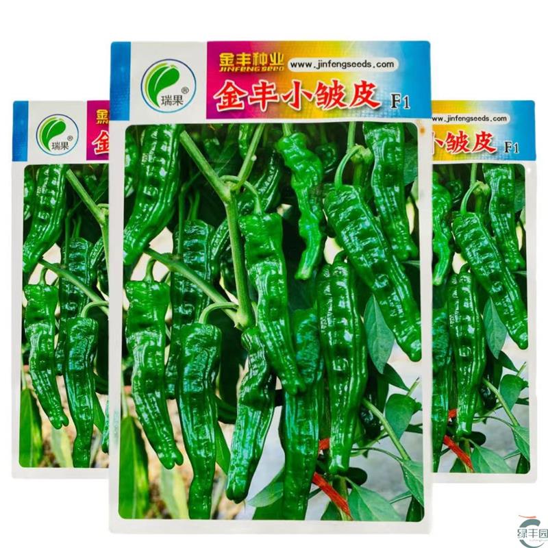 金丰小皱皮薄皮小皱皮辣椒种籽小羊角型皮薄质脆辣味香浓辣椒种子