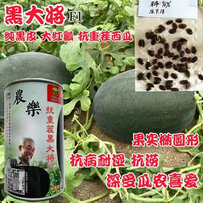 农乐抗重茬黑大将西瓜种子黑皮大果抗重茬西瓜种籽抗病耐湿涝耐旱