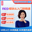 SAP账号S4 FICO财务会计视频课程模拟练习环境ECC培训教程资 HANA