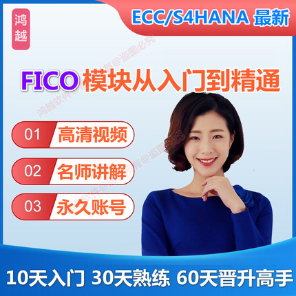 SAP账号FICO财务GR集团报表BPC预算视频课程模拟练习环境培训教程