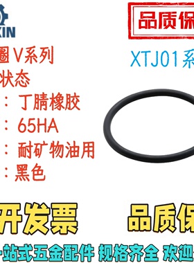 XTJ01/XTJ02-15/24/34/40/55/70/85/100/120/150/175 O型圈 V系列