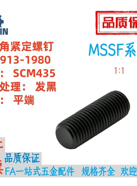MSSF8/10/12/16-6/8/10/12/16/20/35/30354045506070平端紧定螺钉