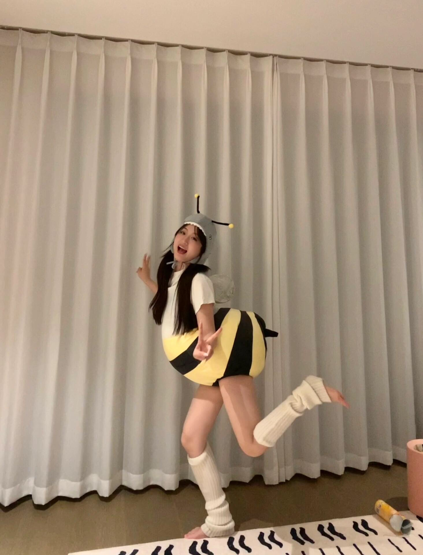 创意鲨bee小蜜蜂玩偶公仔可穿戴演出玩偶服成人儿童版人偶套装