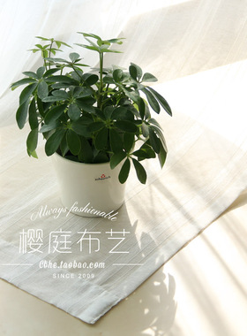 Carin卡林 白色机织竖条纹窗纱纱帘定制客厅简约现代风格窗帘配纱